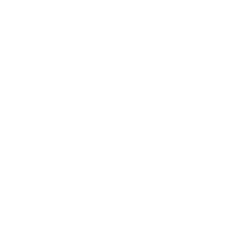 Ark Vision
