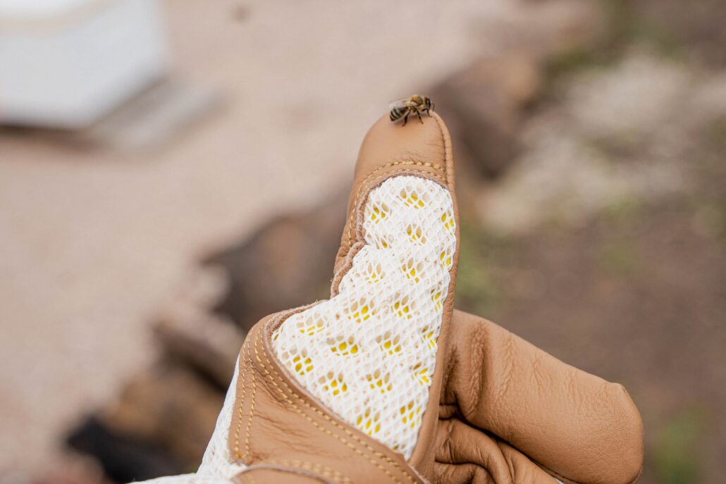 Bee perched on the toe of a tan sandal with white mesh detail outdoors.