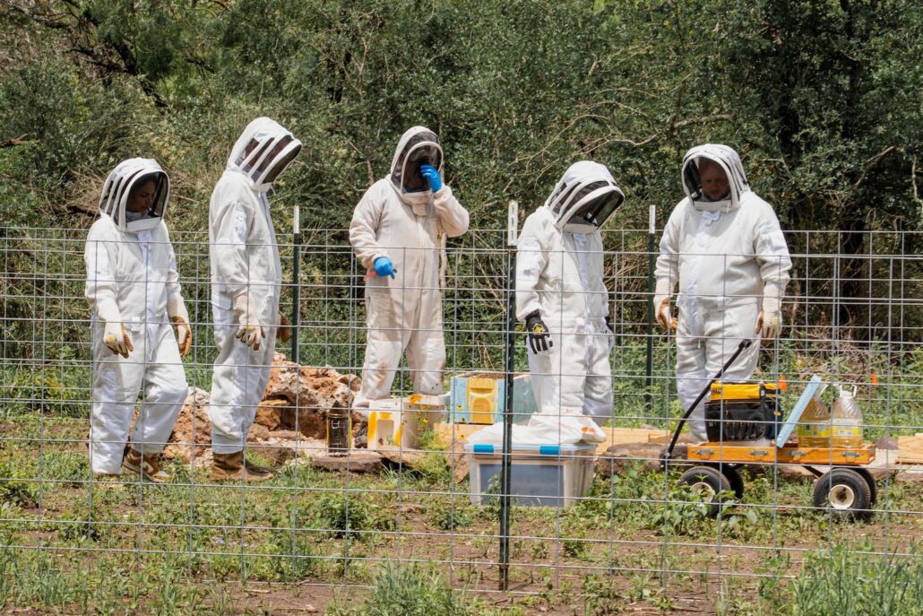 Six beekeepers in full protective suits and veiled hoods stand beside a fenced outdoor work area with tools and a wheeled cart.