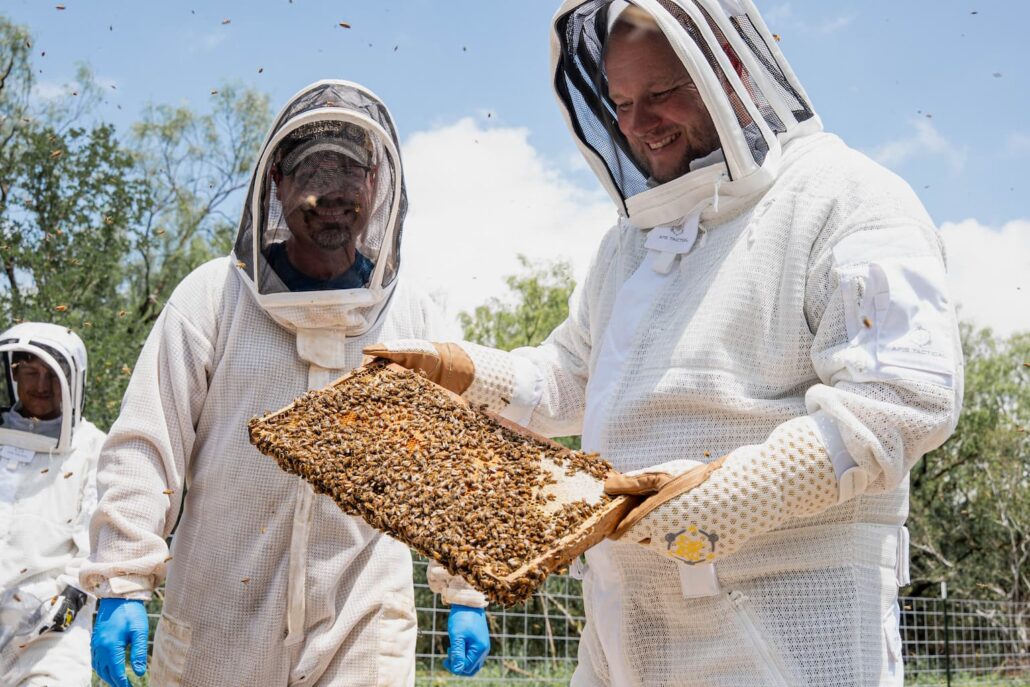 Beekeepers in protective suits hold a bee-covered honeycomb frame outdoors.